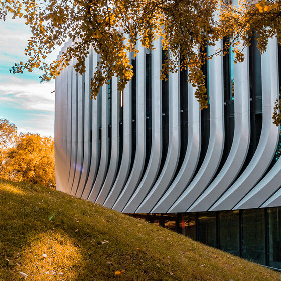 CL MAP ganz neu im Net.